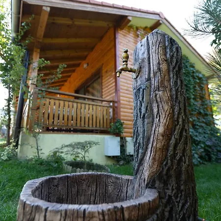 度假居 гнездото The Nest 2