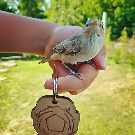 гнездото The Nest 2 Casa de Férias