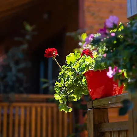 Casa de Férias гнездото The Nest 2 *