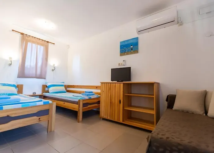 гнездото The Nest 2 Lozenets