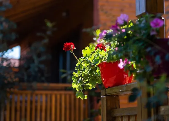 Hébergement de vacances гнездото The Nest 2 *